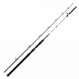WFT Fishing Rod Catbuster Bank