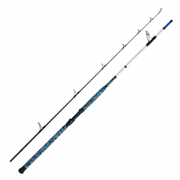WFT Fishing Rod Seabuster