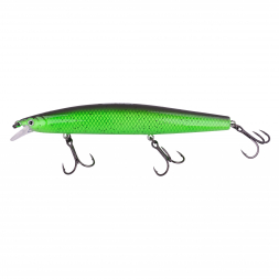  Zander Läufer (Moor Kiwi)