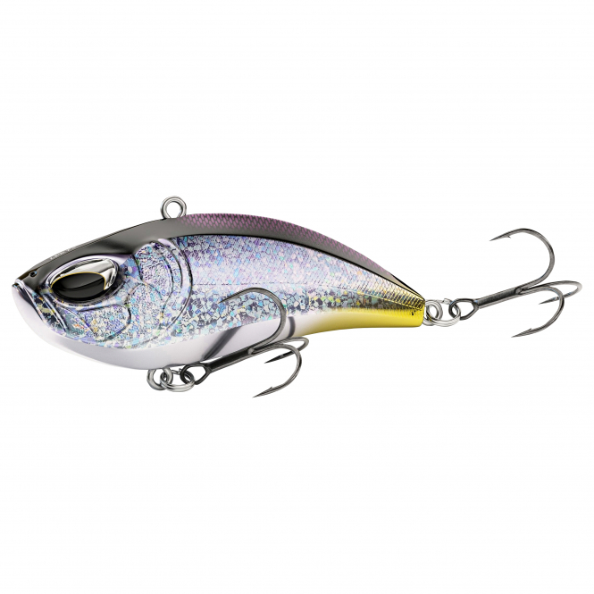 Nays LPR Noisy (S-06) 