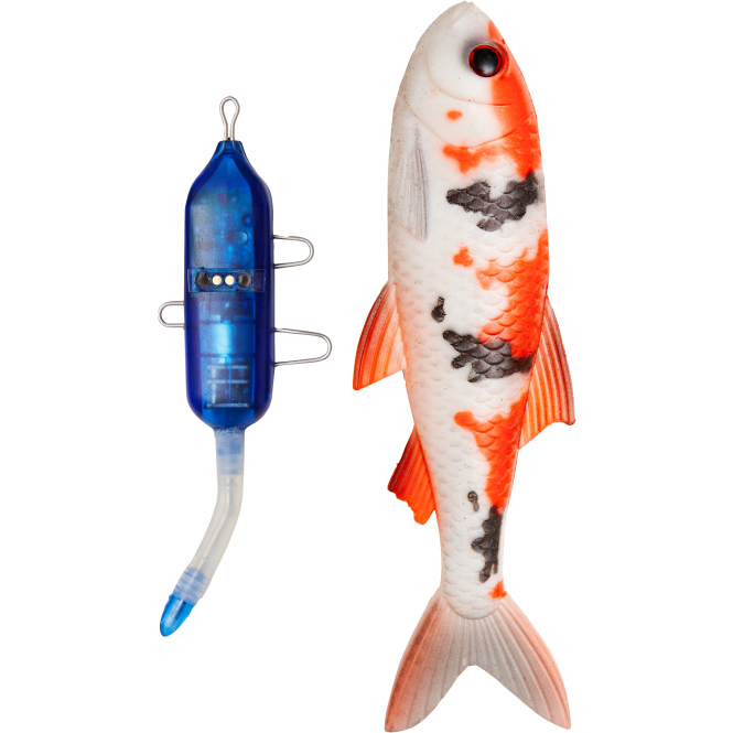 Pulz Bait Roach Kit (Koi Carp) 