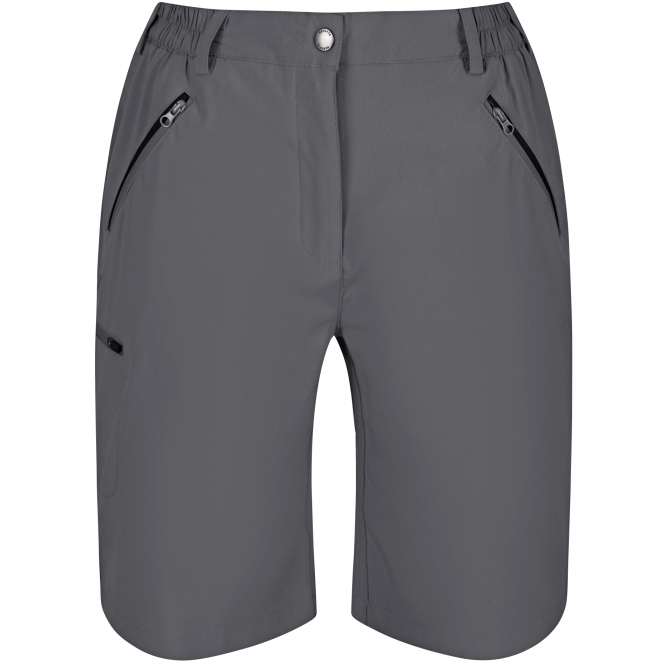 Regatta Xert Stretch Bermuda Shorts (Grey) 