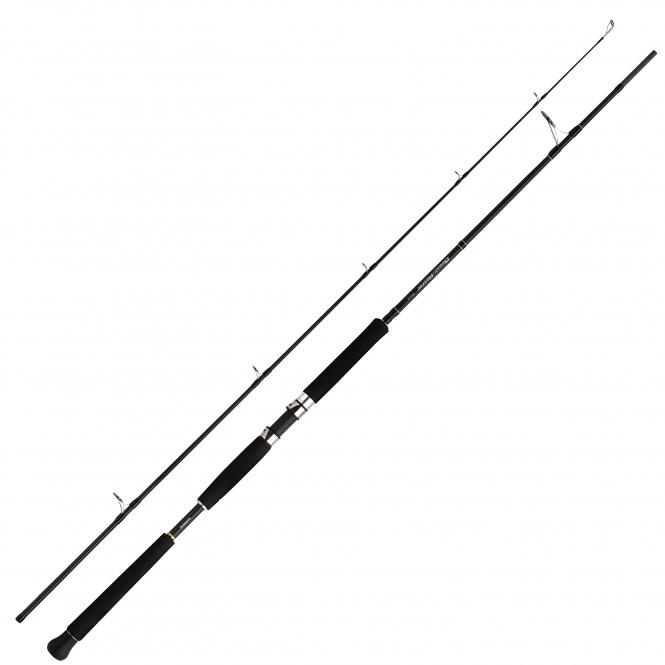 Shimano Beastmaster AX Pilk 