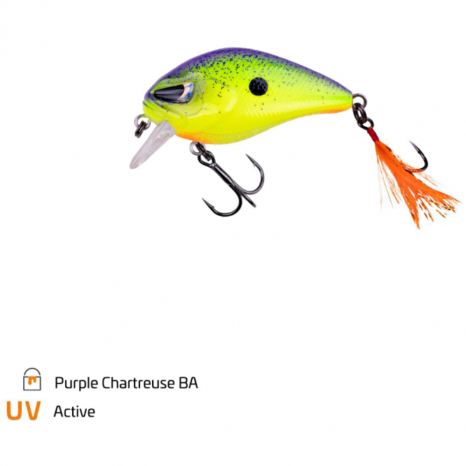 Zeck Danny (Purple Chartreuse BA) 
