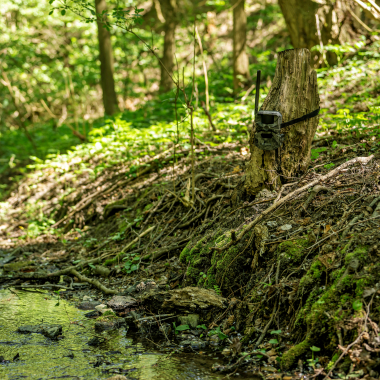 Hikmicro T16 Wildlife Camera