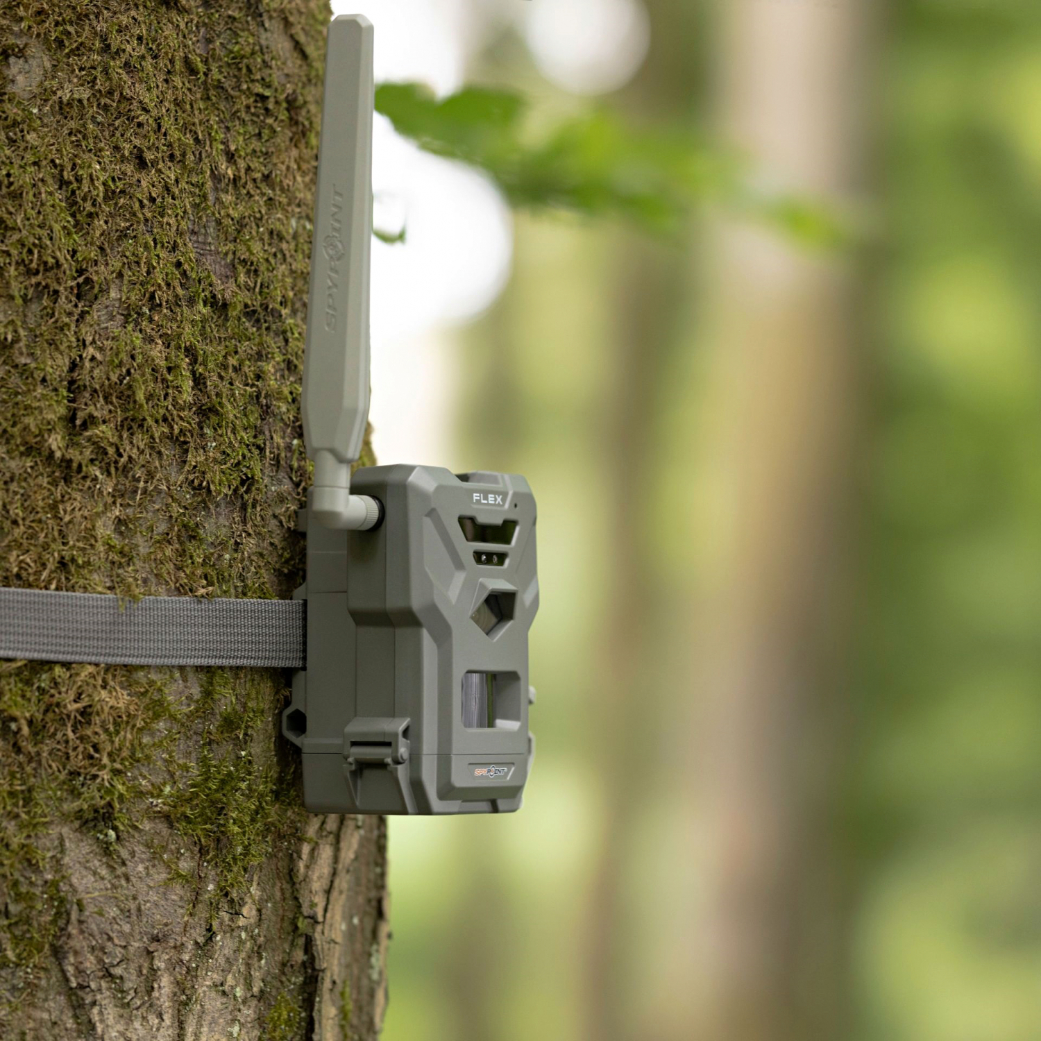 Spypoint Wild Camera Flex E-36  (Twin Pack) 