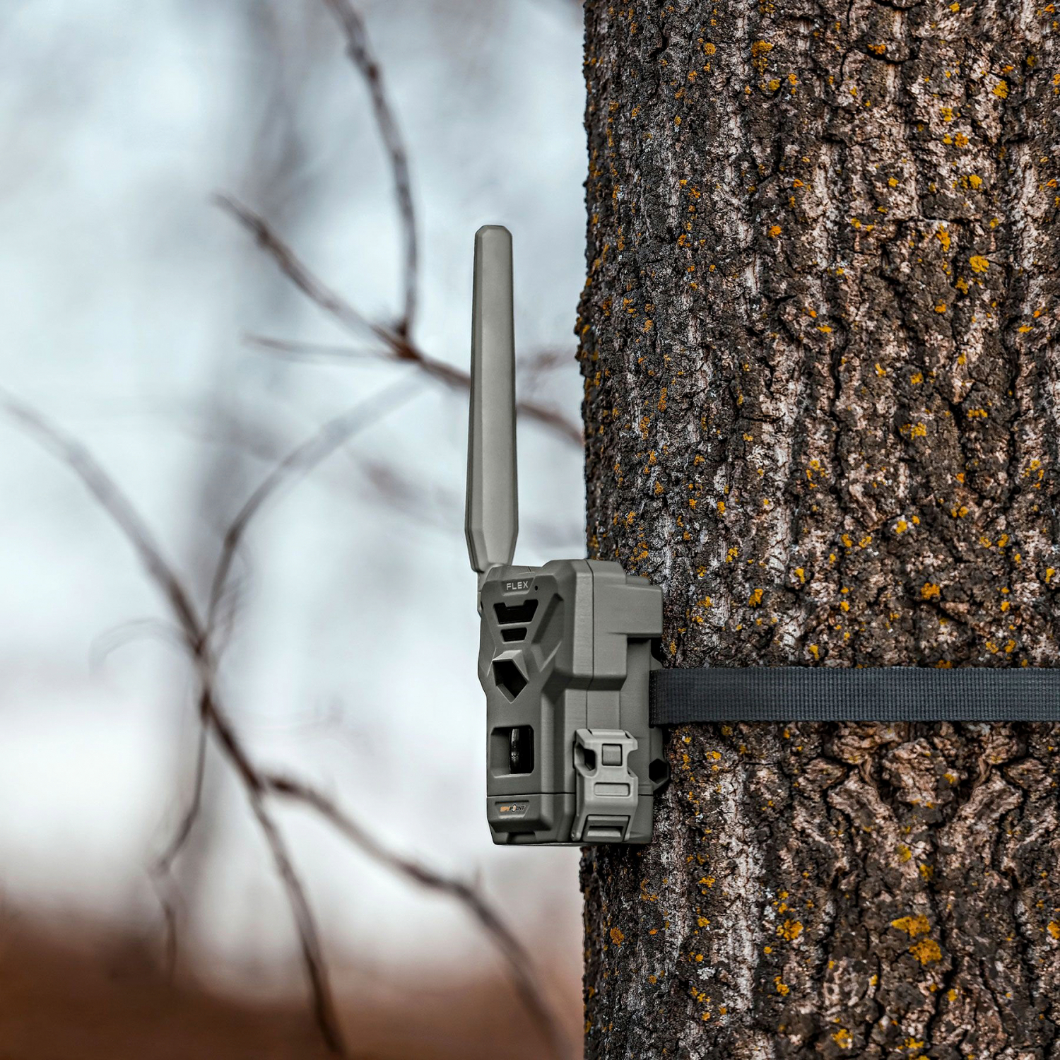 Spypoint Wild Camera Flex E-36  (Twin Pack) 