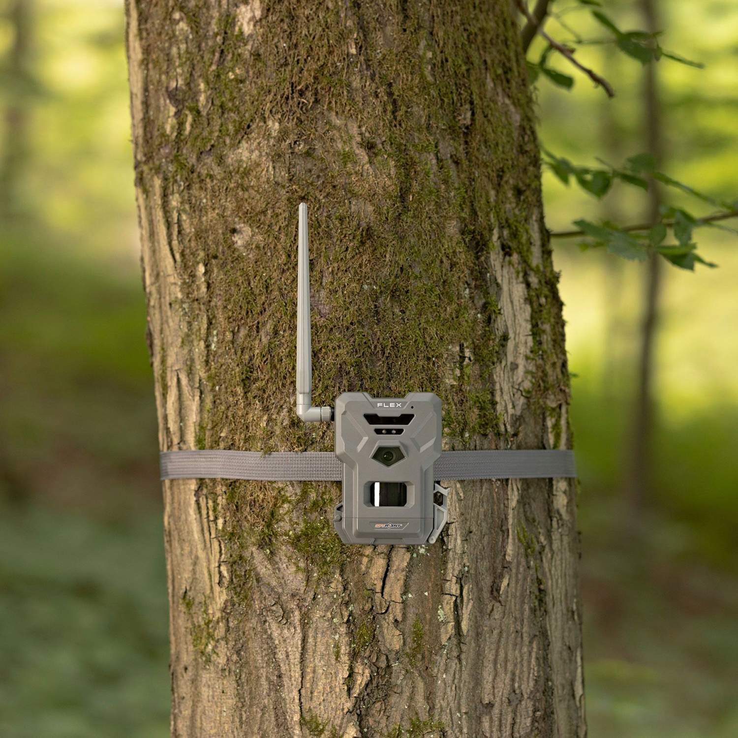 Spypoint Wild Camera Flex E-36  (Twin Pack) 
