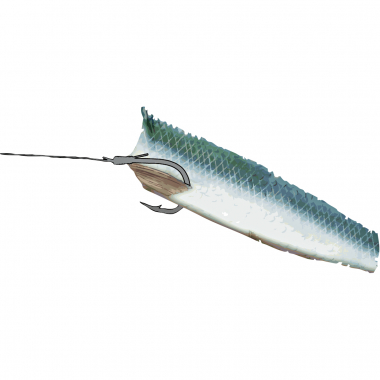 Balzer Hook Spezi Ling / tusk / halibut system