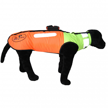 Boar Protec Dog Protection - orange