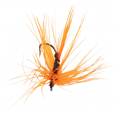 Kogha Trout Pond Fly Assortment