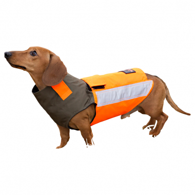Hunting dog protective vest Dog Angel Verney-Carron 