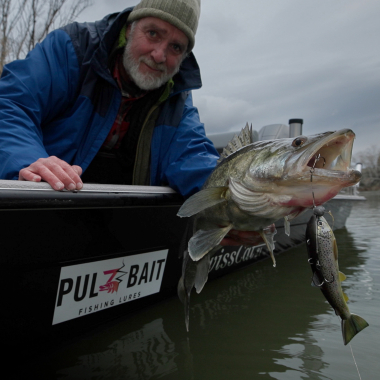 Pulz Bait Jigging Rigz