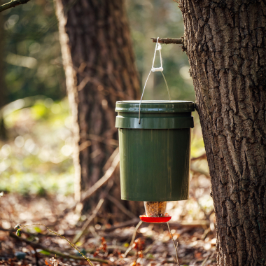 Schnabelgold Feed dispenser
