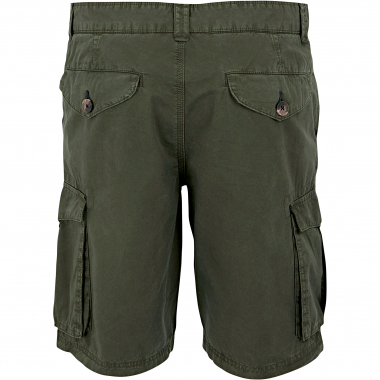 Shorebay II Shorts