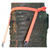 Apex Tree Hugger 