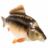 Deco-fish Carp