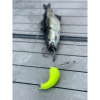 Eisele Halibut leader Circle XXL 