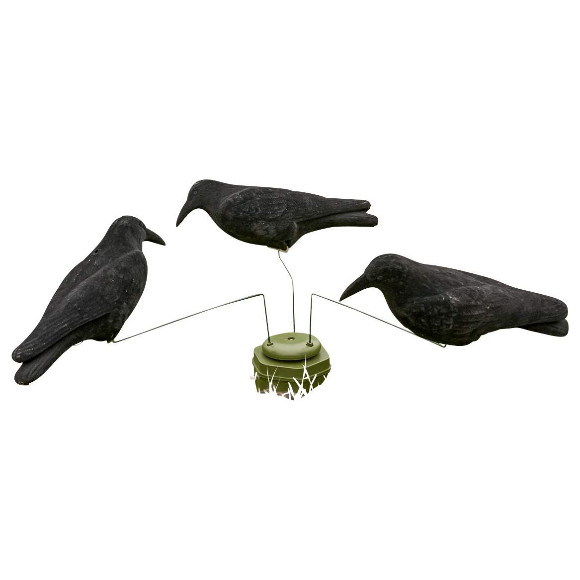 Bearstep Crow Carousel 