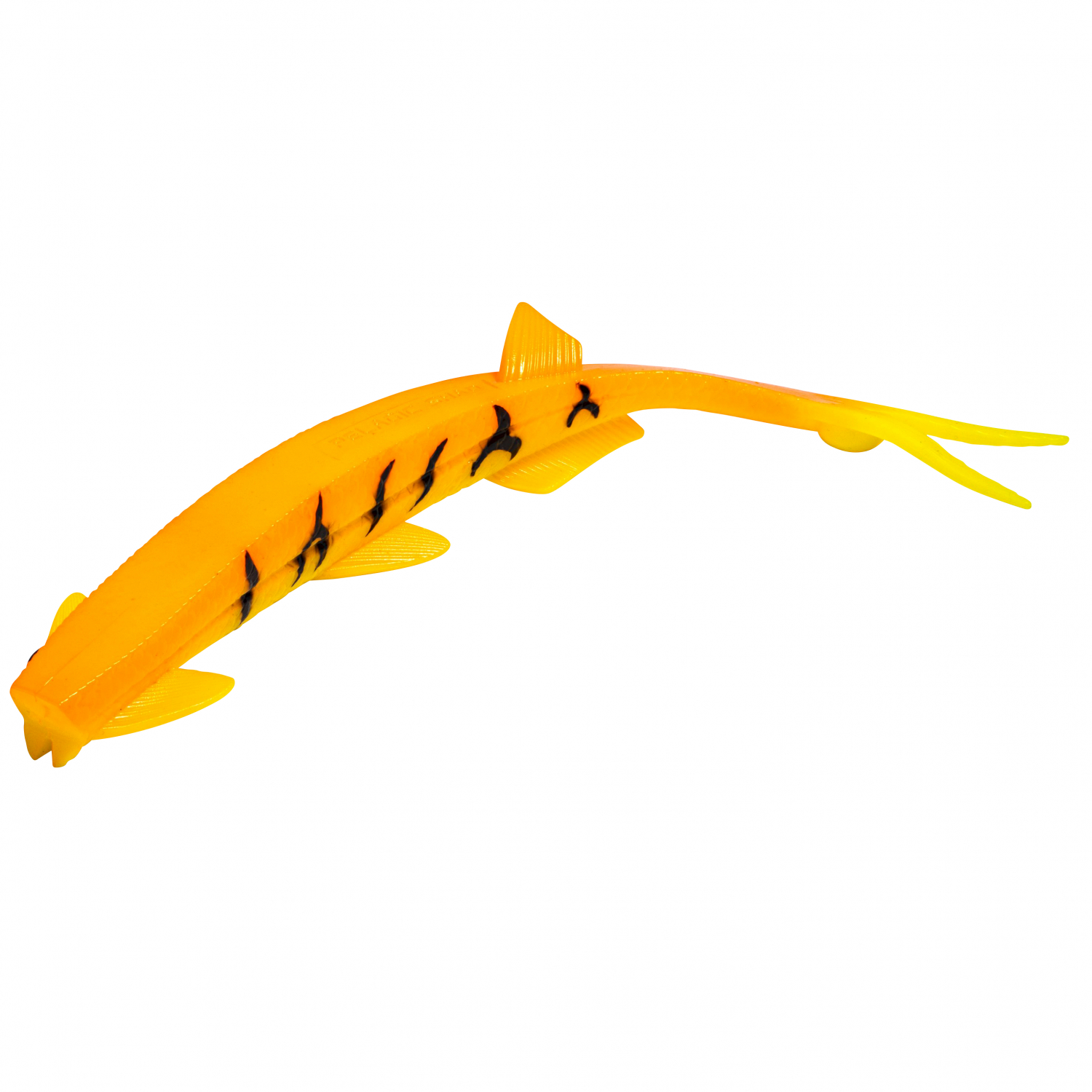 Black Cat Cat Pelagic (Yellow Zombie) 