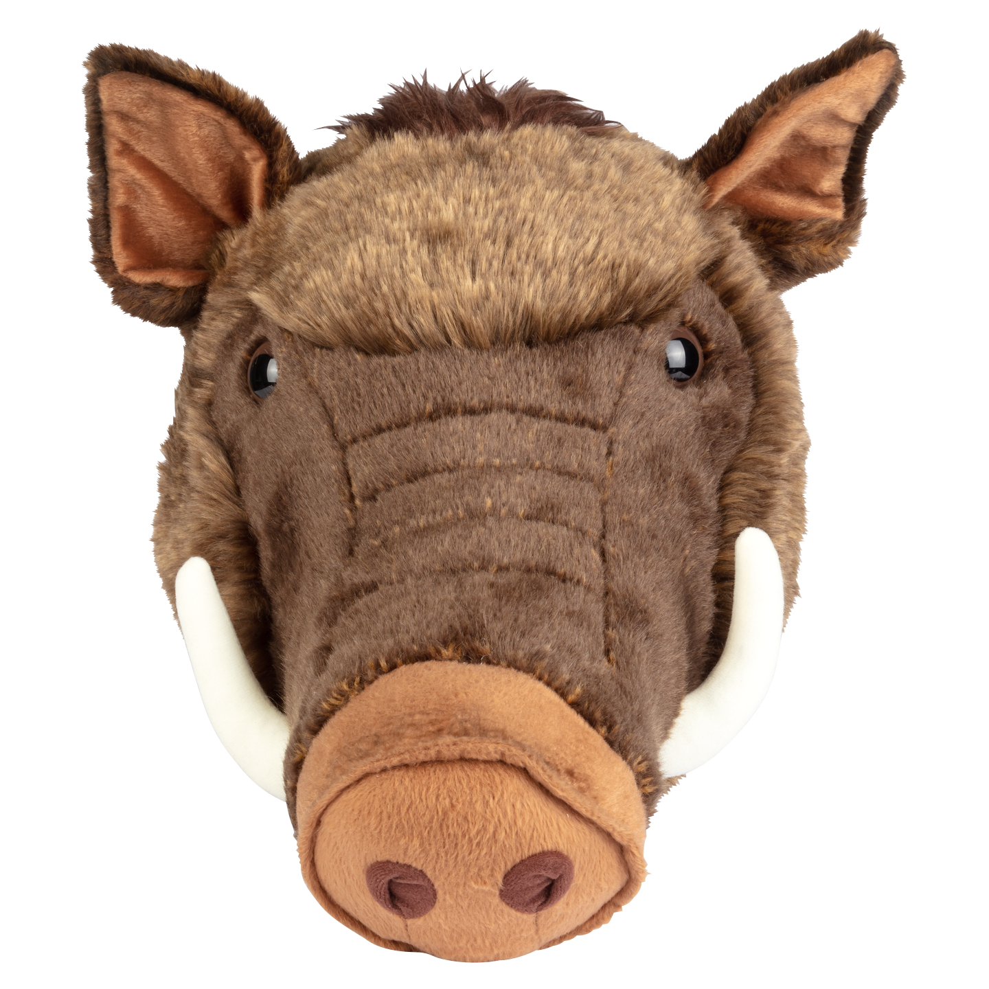 Boar trophy 