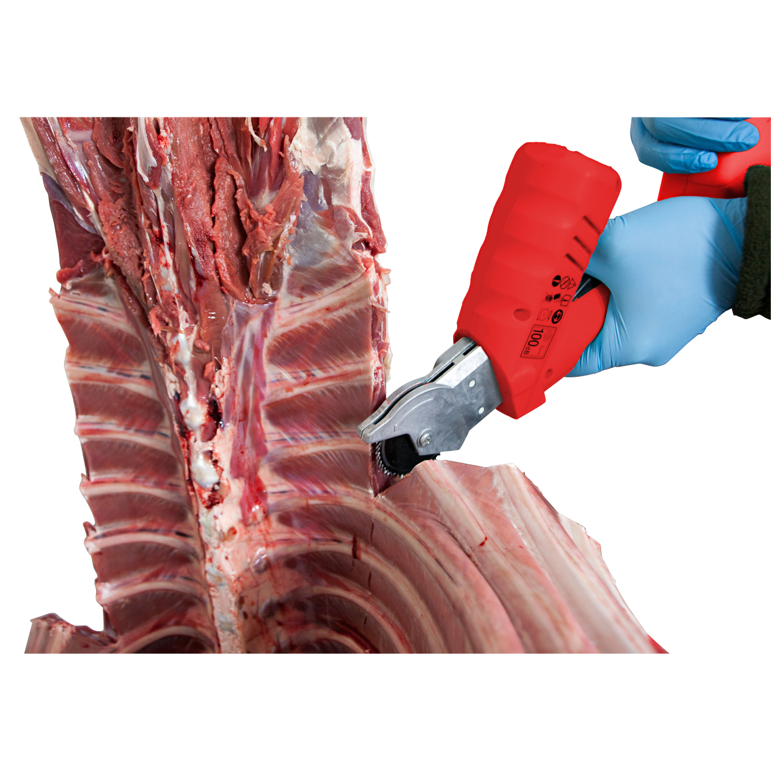 Eurohunt RS3 Cordless Bone Saw 