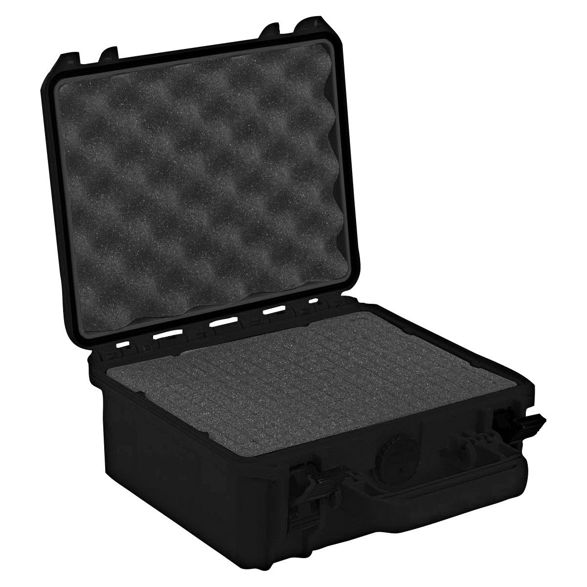 Hard shell case (black) 