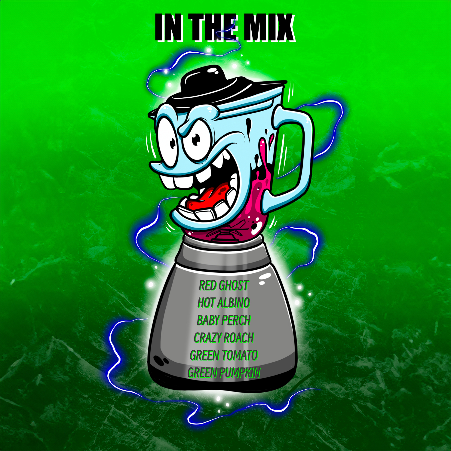 INVDR Shad - In The Mix 