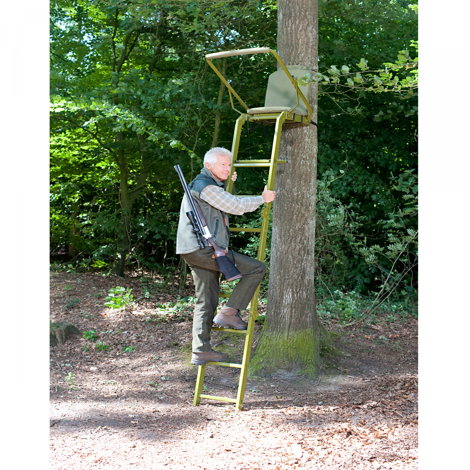 Tree Stand Waschbär 