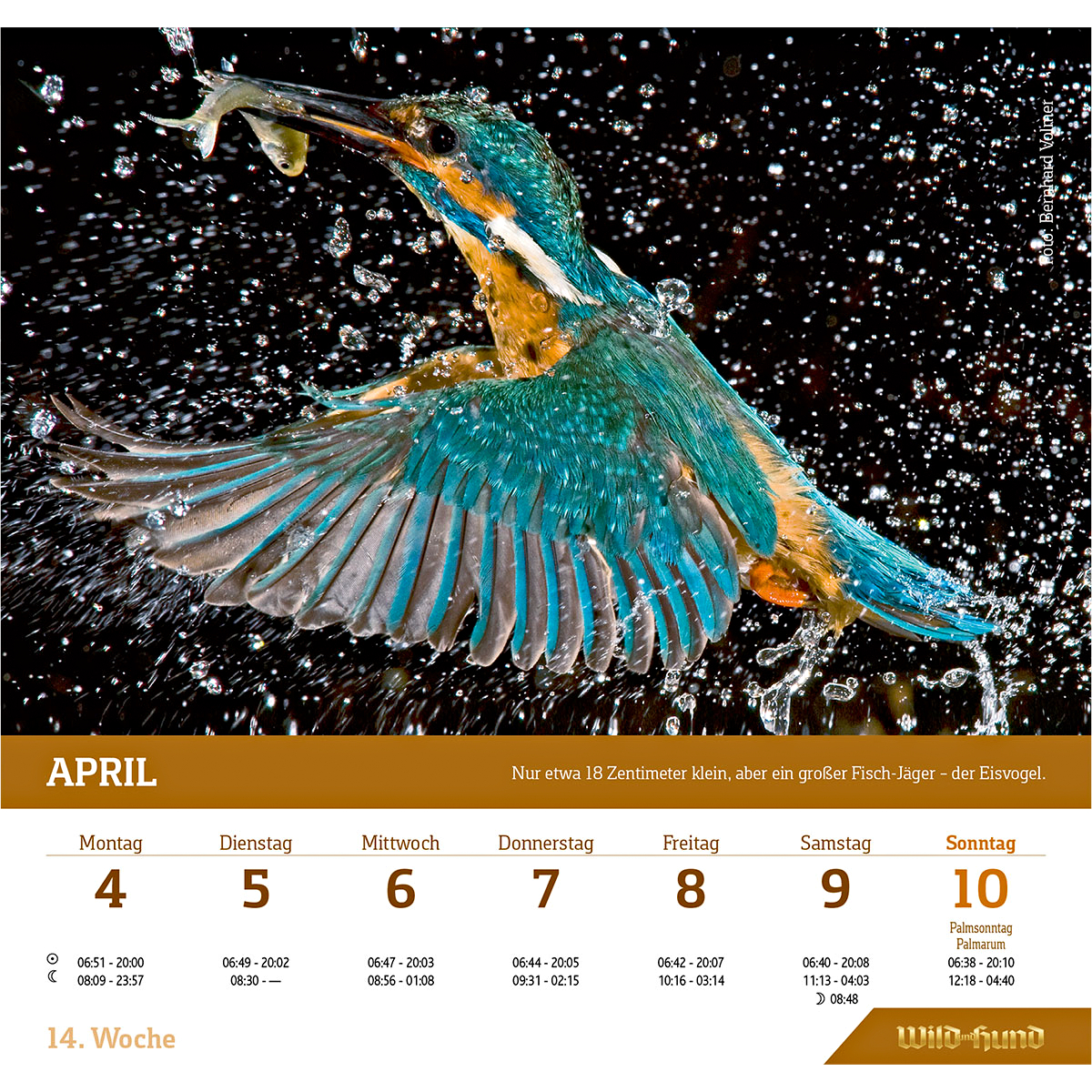 Wild & Dog Table Hunting Calendar 2022 (In German) 