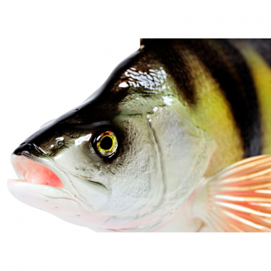 Deco-Fish perch  28 cm