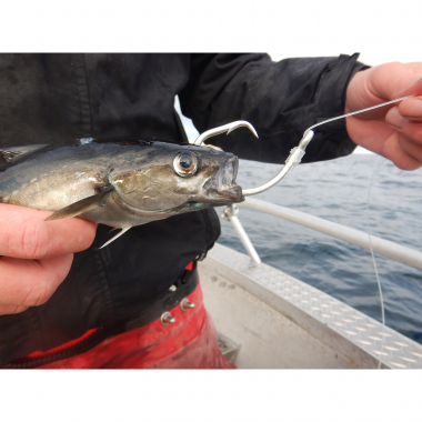 Eisele Halibut leader Circle XXL