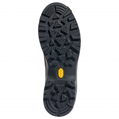 Paneveggio Outdoor Boots For Men (Brown)