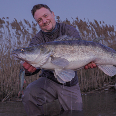 Pulz Bait Roach Kit (Natural Roach)
