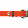 Blaser Professional dog collar (50 mm) 