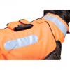 Boar Protec Dog Protection - orange