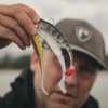 Fox Rage Scent Shad (Ultra Natural Perch) 
