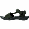 Men's Lakewood Ride Sandal M Men (Island Moss) 