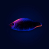 Probaits Body: SMTX-A VibLure - Bounce | Flaretrap 