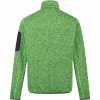 Regatta Men's Newhill fleece jacket (light green)