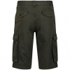 Regatta Men's Shorebay shorts