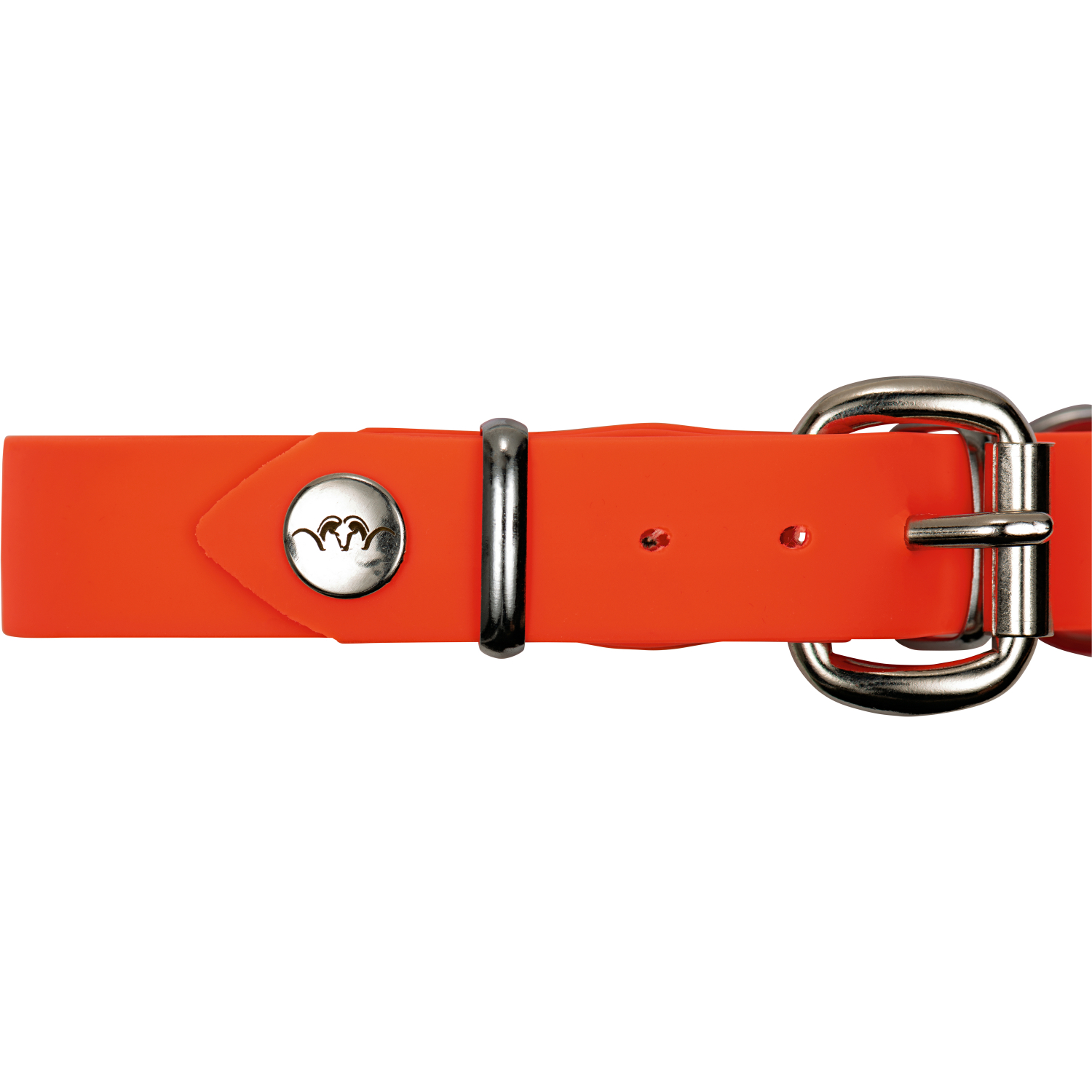 Blaser Professional dog collar (50 mm) 