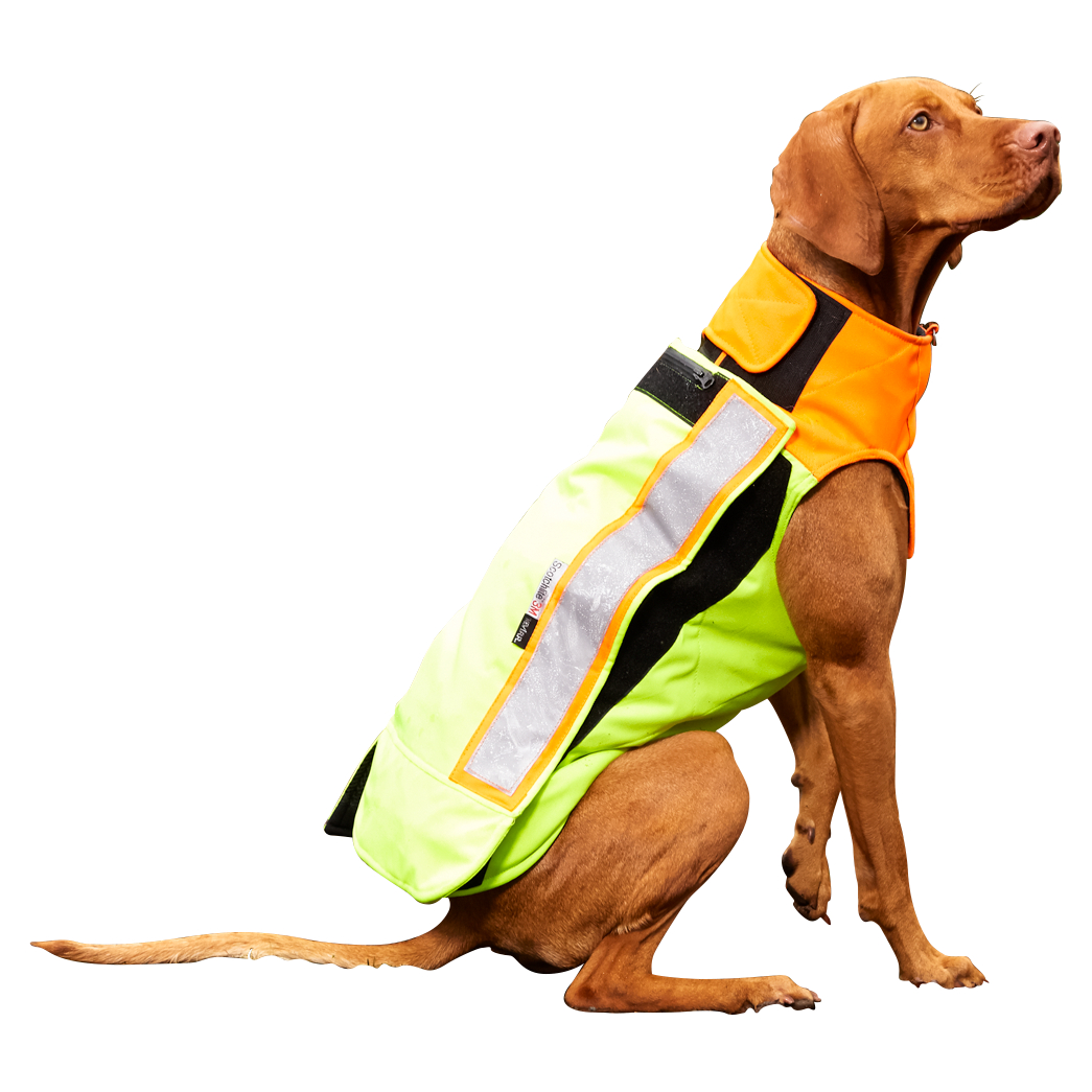 Dog Savety Vest 