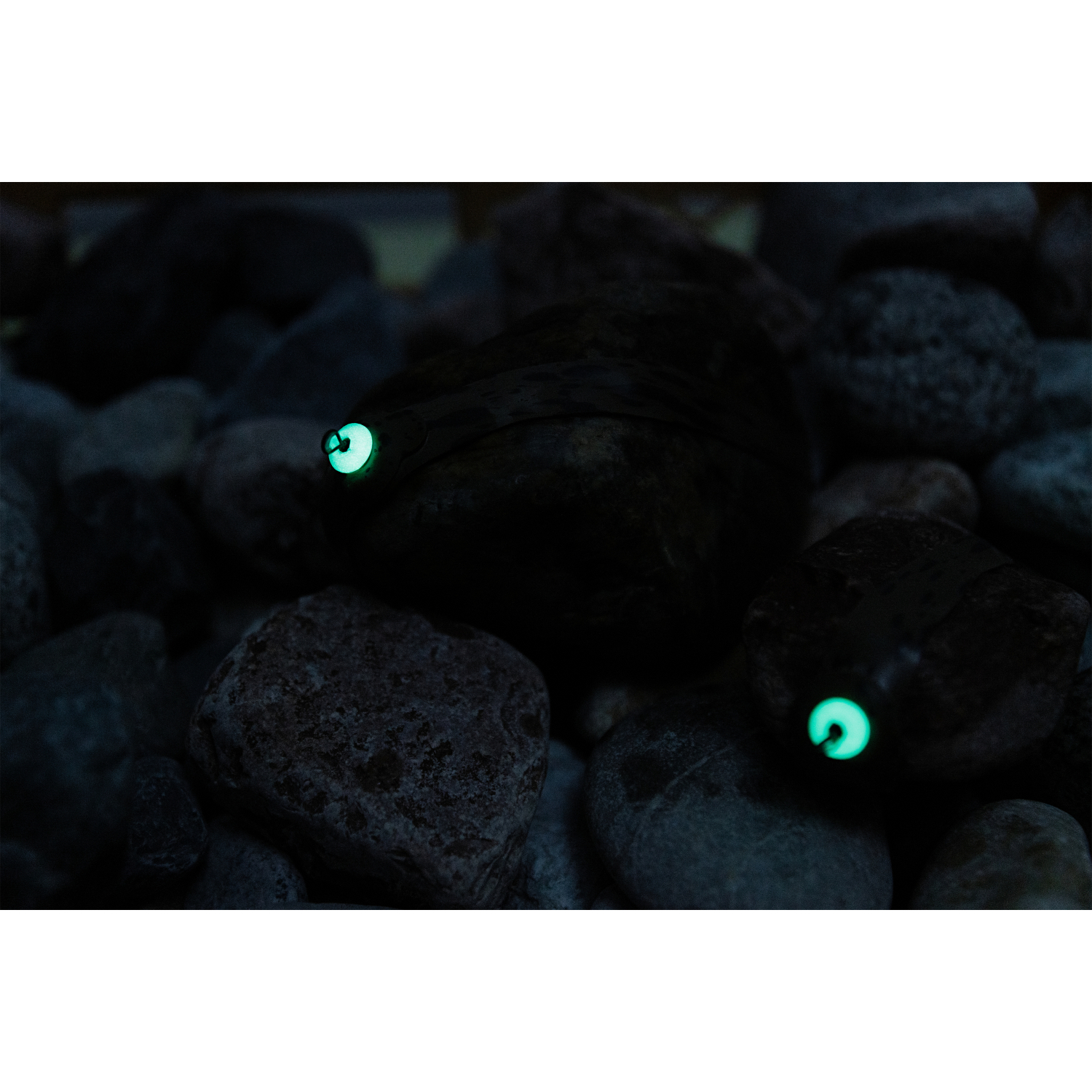 FISHSTONE Stone Mount Loop Body (glow) 