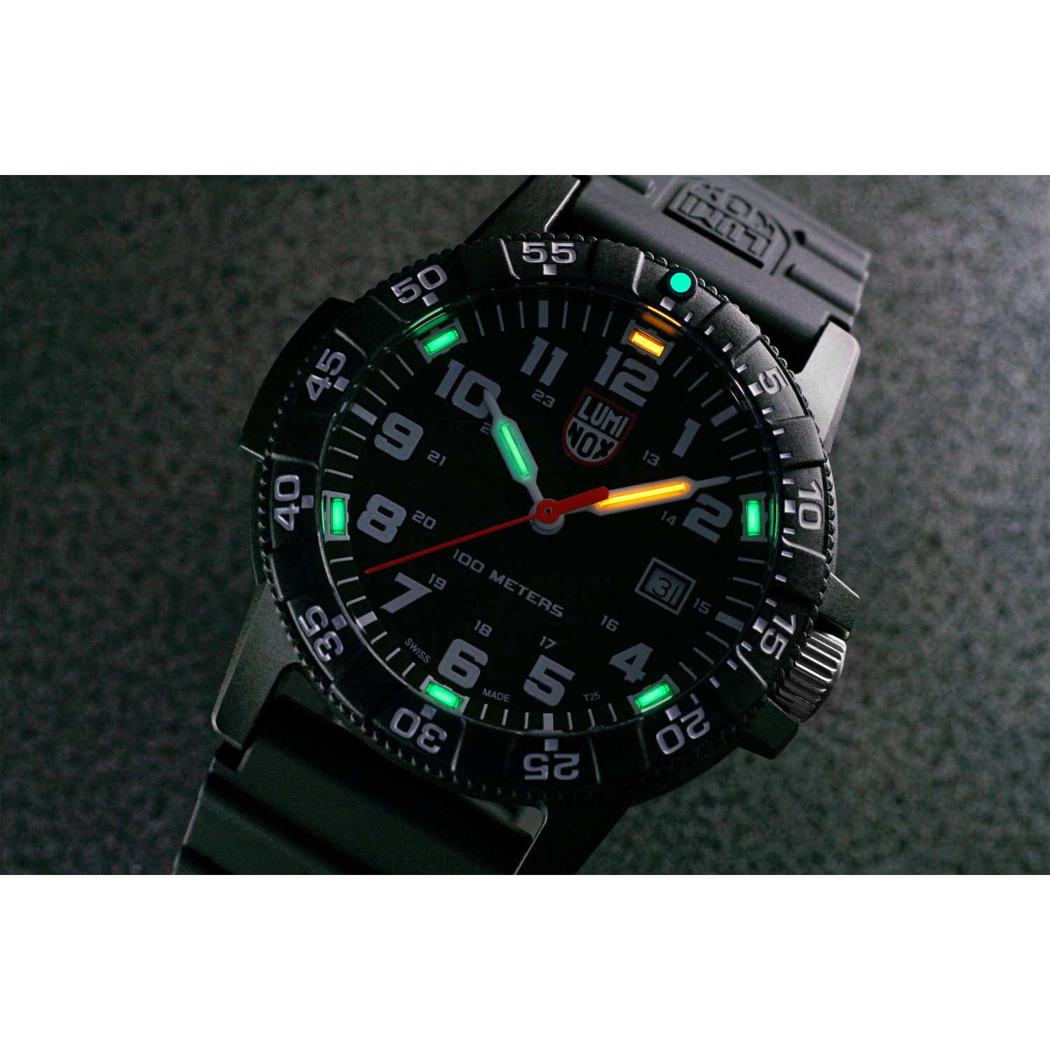 Luminox Wristwatch Leatherback SEA Turtle Giant (0321.L) 