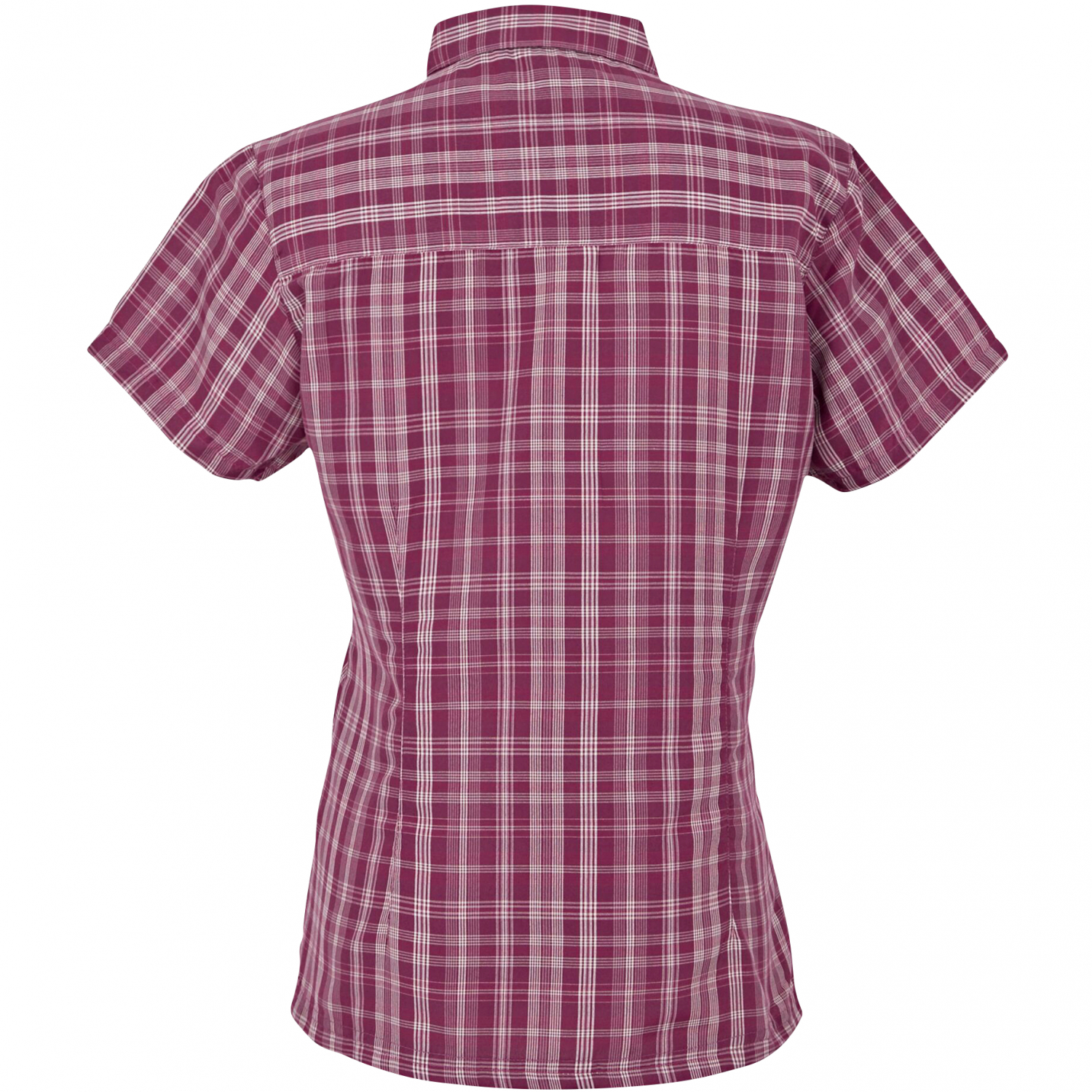 Regatta Women's Mindano VIII Shirt (Pink) 