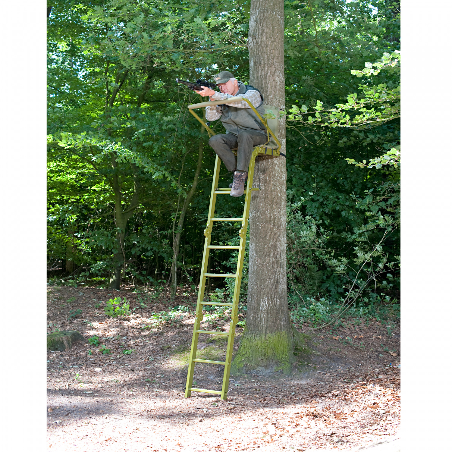 Tree Stand Waschbär 