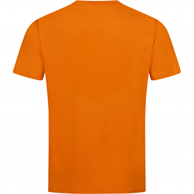 Blaser Argali Outline T 26 T-Shirt Men (Rust)