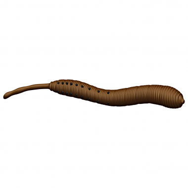 Eisele Soft Bait Lugworm Double