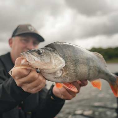 Fox Rage Scent Shad (Natural Wakasagi)